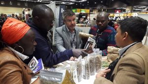 Kopi Gayo Aceh Jadi Primadona Di Specialty Coffee Seattle 2026