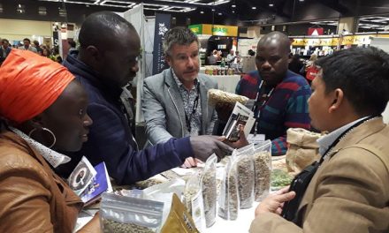 Kopi Gayo Aceh Jadi Primadona Di Specialty Coffee Seattle 2026