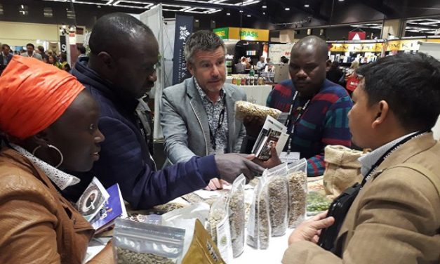 Kopi Gayo Aceh Jadi Primadona Di Specialty Coffee Seattle 2026