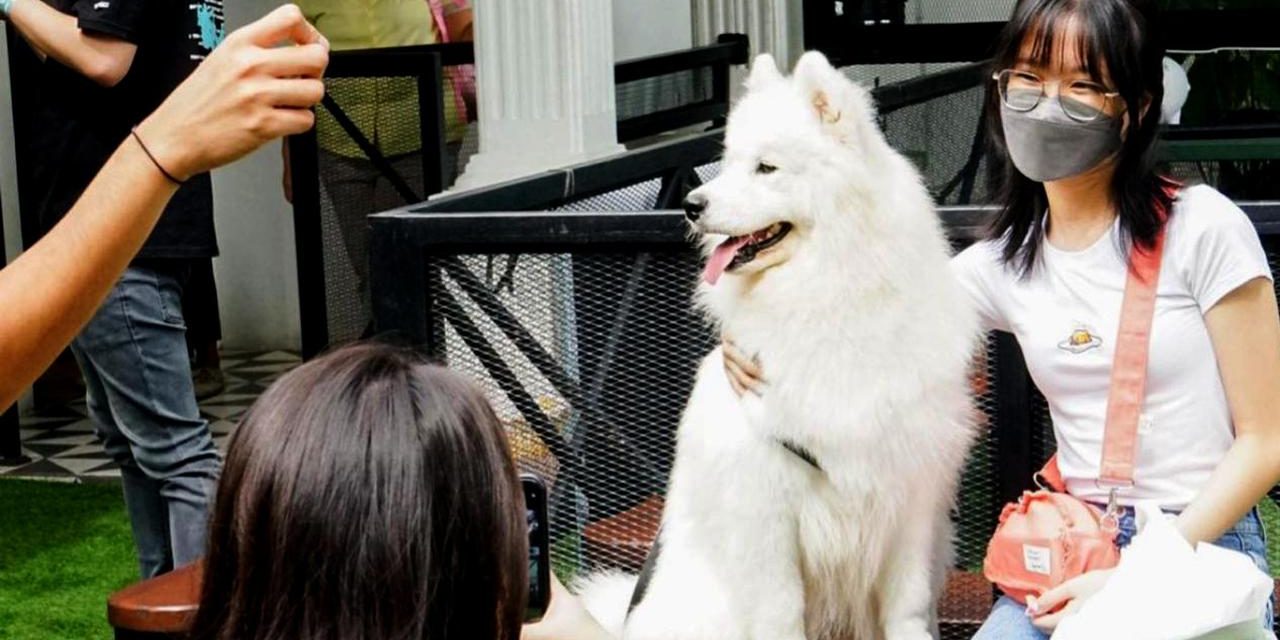 Tren Kafe Pet-Friendly Menjamur Di Kota Besar Indonesia
