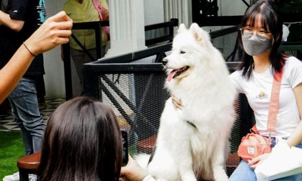 Tren Kafe Pet-Friendly Menjamur Di Kota Besar Indonesia