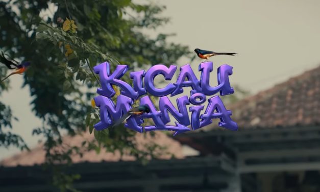Lagu Kicau Mania Ndarboy Genk Viral Di TikTok, Ini Alasannya