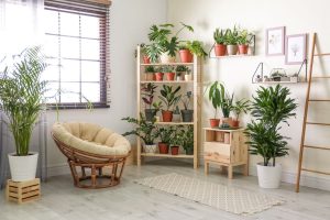 Tips Air-Purifying Interior: Sirkulasi Dan Tanaman Penyaring